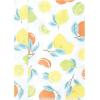 imageLuvable Friends Hudson Baby Flannel Burp Cloths 7pk SetPastel Citrus