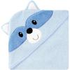 Raccoon