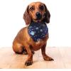 imageLuvable Friends Dog Reversible Pet Dog and Cat Bandana Bibs 2pk Botanical Leopard One SizeBanana Space