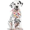 imageLuvable Friends Dog Reversible Pet Dog and Cat Bandana Bibs 2pk Botanical Leopard One SizeBotanical Burgundy Floral