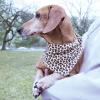 imageLuvable Friends Dog Reversible Pet Dog and Cat Bandana Bibs 2pk Botanical Leopard One SizeLeopard Hearts