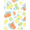imageLuvable Friends Hudson Baby Flannel Burp Cloths 12pk SetPastel Citrus