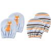 Blue Fox 2 Pack