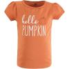 imageHudson Baby Unisex Baby Short Sleeve TshirtsFall Pumpkin Spice